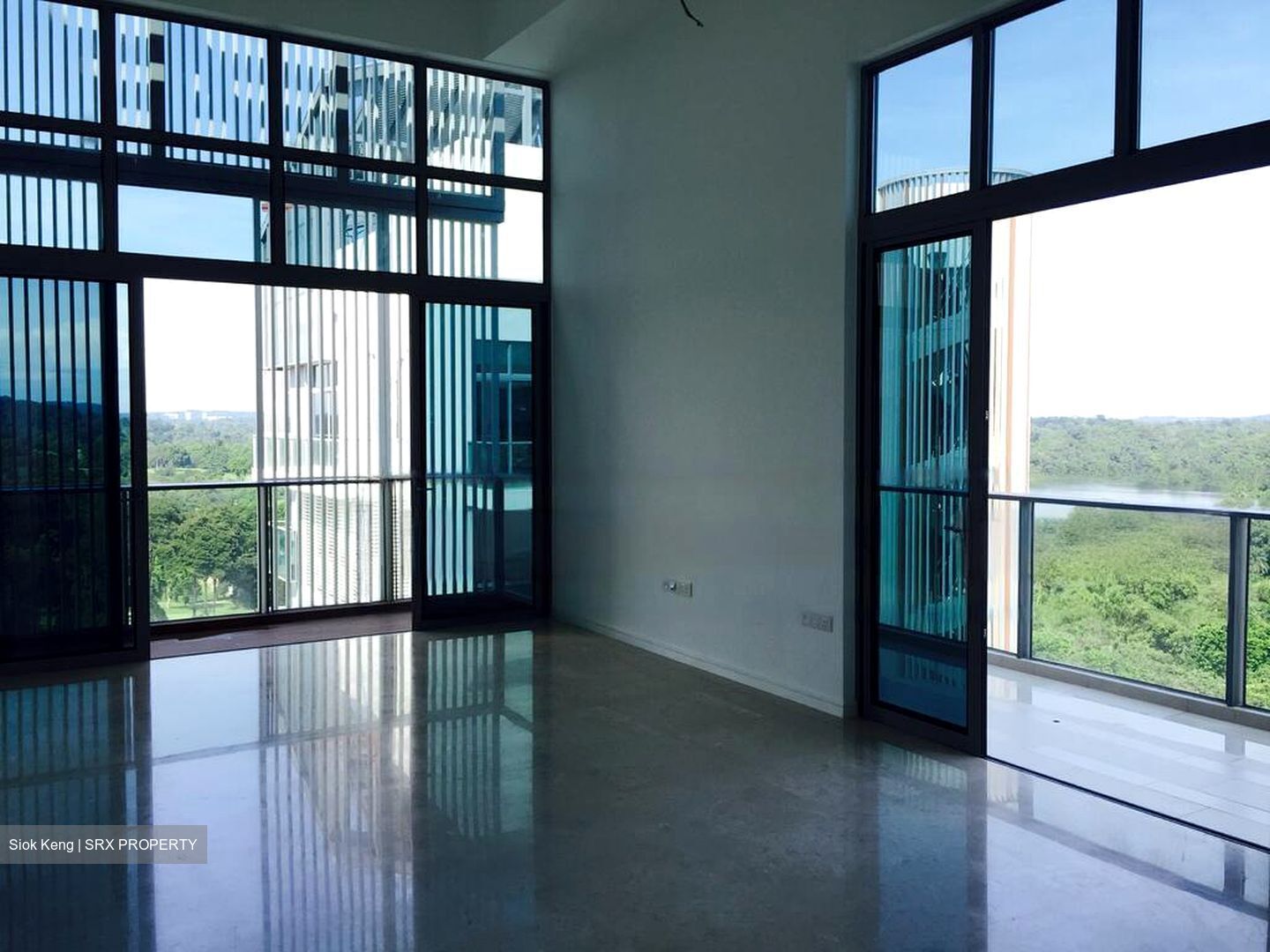 Thomson Grand (D20), Condominium #466464361